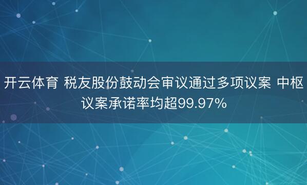 开云体育 税友股份鼓动会审议通过多项议案 中枢议案承诺率均超99.97%