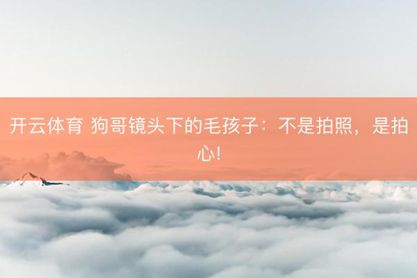 开云体育 狗哥镜头下的毛孩子：不是拍照，是拍心!