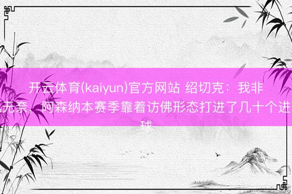 开云体育(kaiyun)官方网站 绍切克：我非凡无奈，阿森纳本赛季靠着访佛形态打进了几十个进球