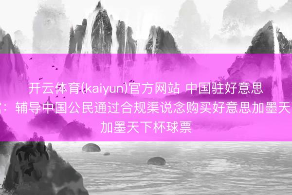 开云体育(kaiyun)官方网站 中国驻好意思国使领馆：辅导中国公民通过合规渠说念购买好意思加墨天下杯球票
