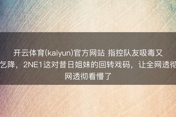 开云体育(kaiyun)官方网站 指控队友吸毒又手写信乞降，2NE1这对昔日姐妹的回转戏码，让全网透彻看懵了