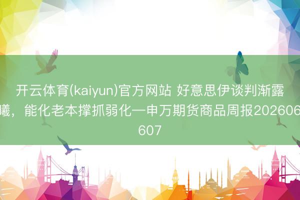 开云体育(kaiyun)官方网站 好意思伊谈判渐露晨曦，能化老本撑抓弱化—申万期货商品周报20260607